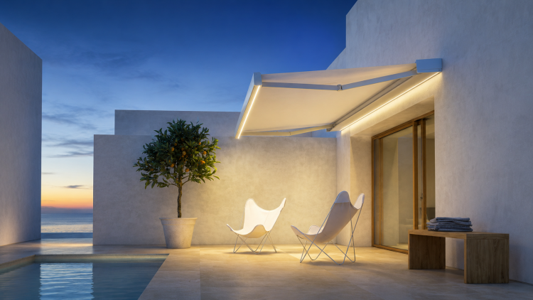 Slide image